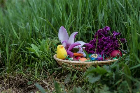Basket full of Easter decoration. Fotos de archivo