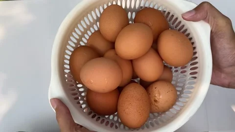 Basket full of eggs Stock Footage 214142112