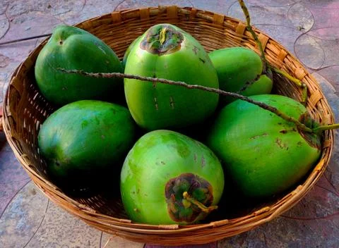 A basket full of Fresh green Solid Tender Coconut Stock Photos