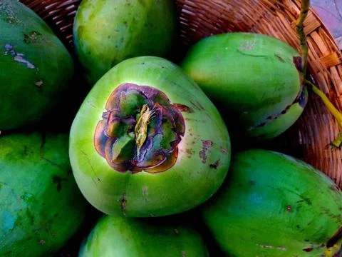 A basket full of Fresh green Solid Tender Coconut Fotos de archivo