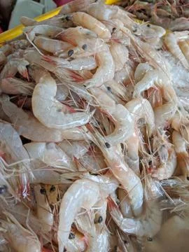 Basket full of fresh shrimps to sale at wet market Stock Photos