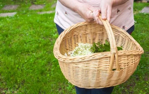 A basket full of herbs Stock Photos