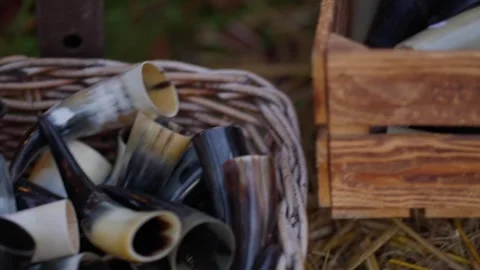A basket full of horns, some of which are black and some of which are white Stock Footage 298555304