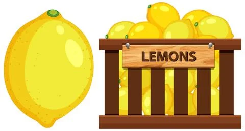 Basket full of lemons on white background Stock Illustration