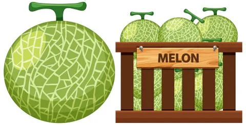 Basket full of melon on white background Stock Illustration