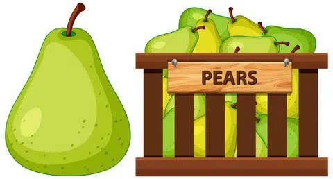 Basket full of pears on white background Stock Illustration