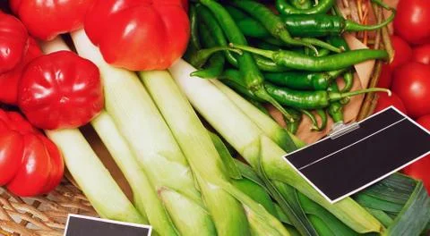 Basket full of vegetables. Stock Photos