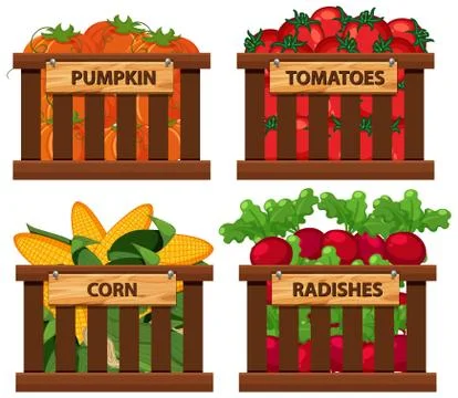Basket full of vegetables on white background Stock Illustration