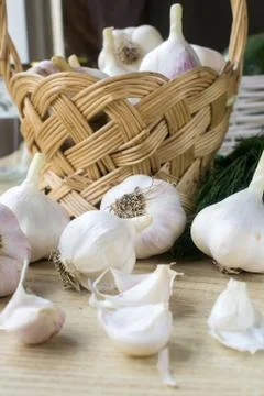 Basket of garlic Stock Photos