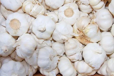 Basket of garlic Stock Photos