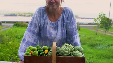 A basket of goodness Stock Footage 161130244