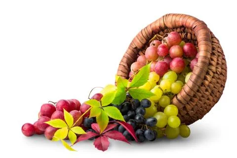 Basket with grape Stock Photos