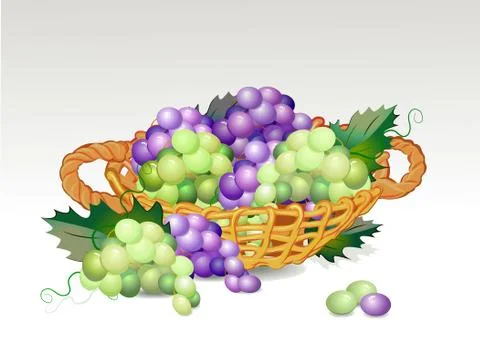 Basket with grapes Stock Illustration