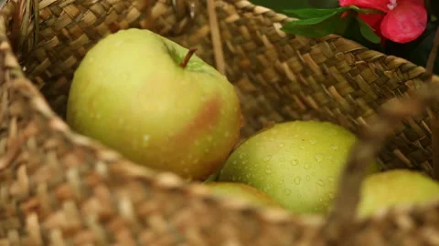 Basket with green apples Video stock 90350105