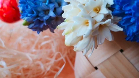 Basket with hyacinths, hand puts Easter egg on straw. Stock Footage 104763100
