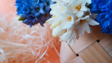 Basket with hyacinths, hand puts Easter egg on straw. Stock Footage 104763103