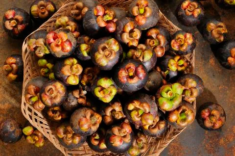 Basket of mangosteens Stock Photos
