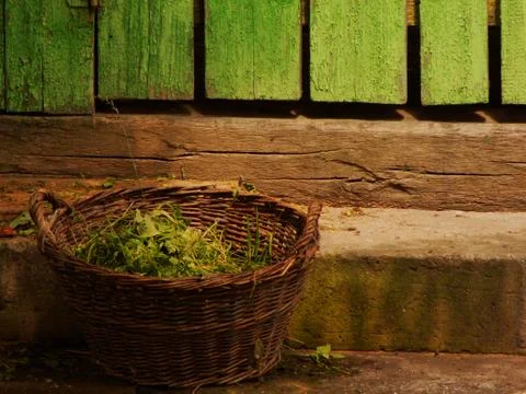 Basket with mowed grass Stock Photos
