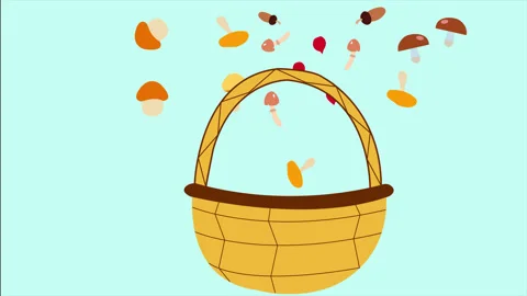 Basket of mushrooms Stock Footage 335203597