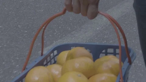 A basket of oranges Stock Footage 172096338
