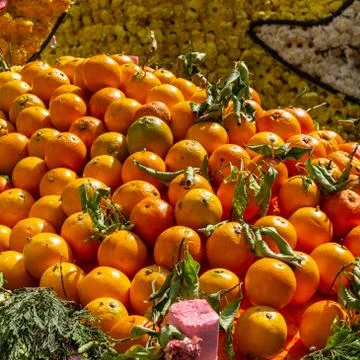 Basket of oranges Stock Photos