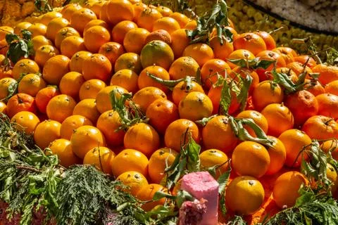 Basket of oranges Stock-Fotos