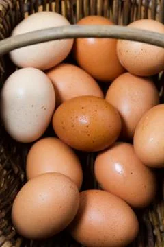 Basket of organic free range eggs Stock Photos