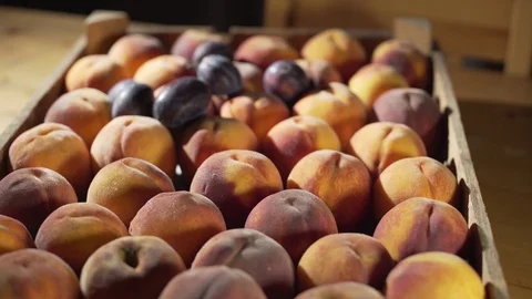 A basket of peach Stock Footage 117048227