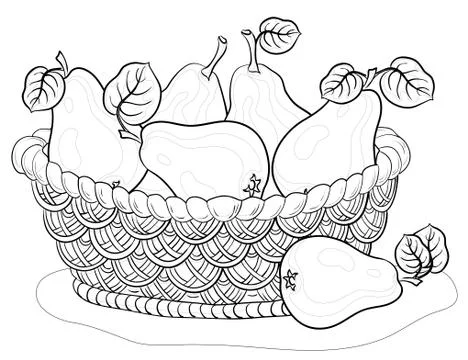 Basket with pears, contours Stock Illustration