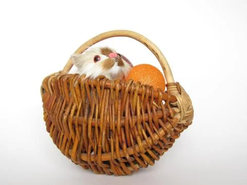 Basket Stock Photos