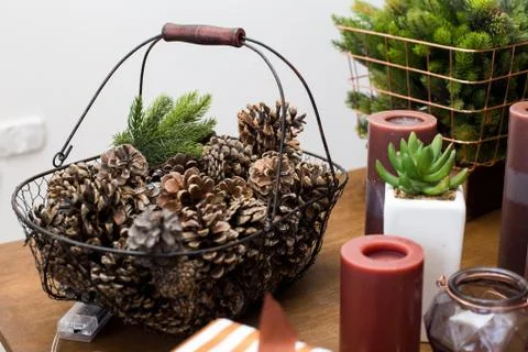Basket with pine cones Stock Photos
