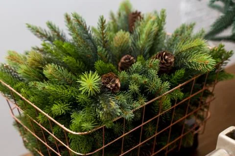 Basket with pine cones Stock Photos