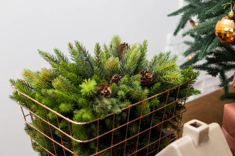 Basket with pine cones Stock Photos
