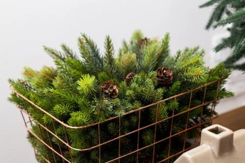 Basket with pine cones Foto stock