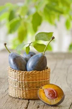 Basket with plums Stock Photos