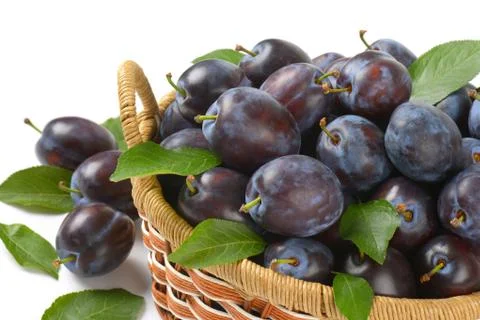 Basket of plums Foto stock