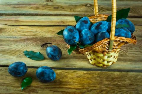A basket of plums prunes Stock Photos