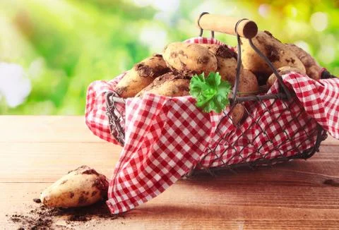 Basket with potatoes Stock Photos