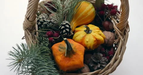 Basket with pumpkin, walnuts, cones and sprigs of a Christmas tree Vidéo 223162589