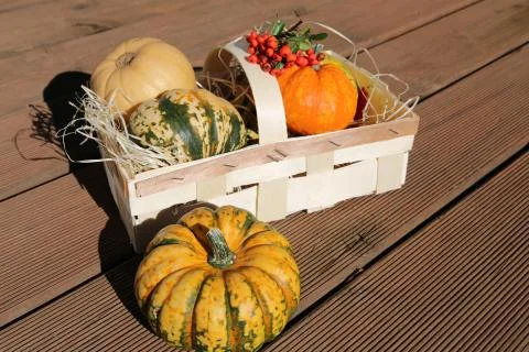 Basket with pumpkins Stock Photos