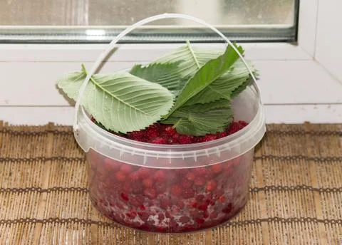 Basket with raspberries Stock Photos