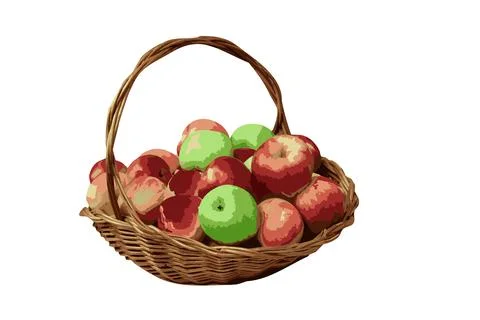 Basket of ripe apples, vector image from photo Stock Illustration