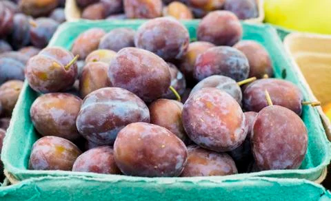 Basket of Ripe Plums Stock Photos