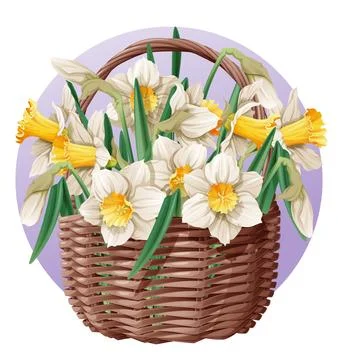 Basket with spring flowers on isolated background. Vector illustration of a.. Stock Illustration