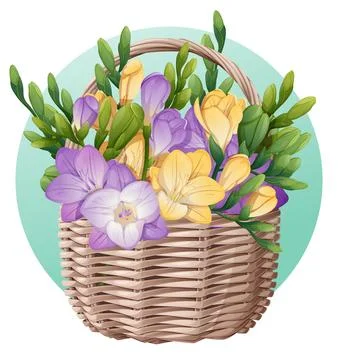 Basket with spring flowers on isolated background. Vector illustration of a.. Stock Illustration