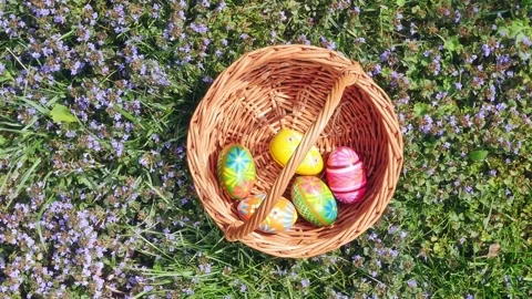 Basket on Spring Grass being filled with Colorful Easter Eggs Видео 307313876