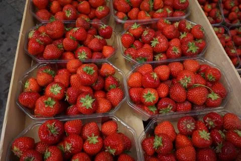 Basket of Strawberries Stock Photos