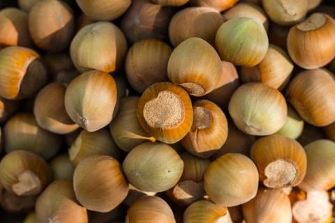 A basket of toasted hazelnuts inviting Stock Photos