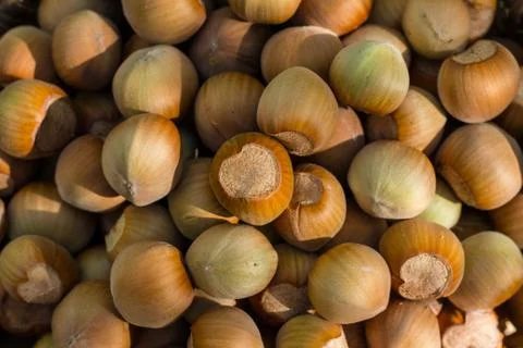 A basket of toasted hazelnuts inviting Stock Photos