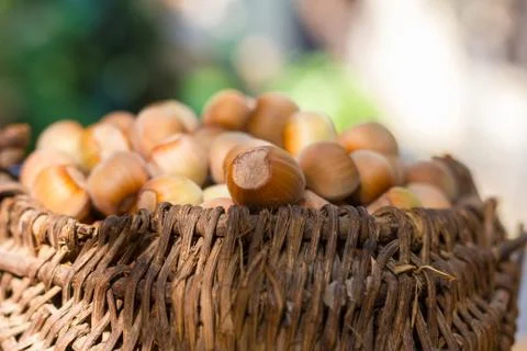 A basket of toasted hazelnuts inviting Stock Photos